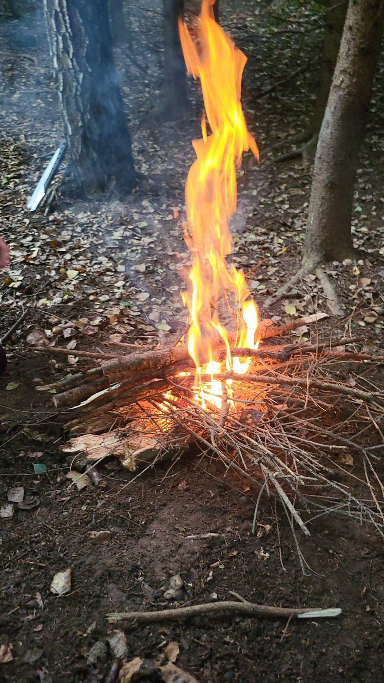 Pierwszy płomień rozpalonego ogniska w lesie