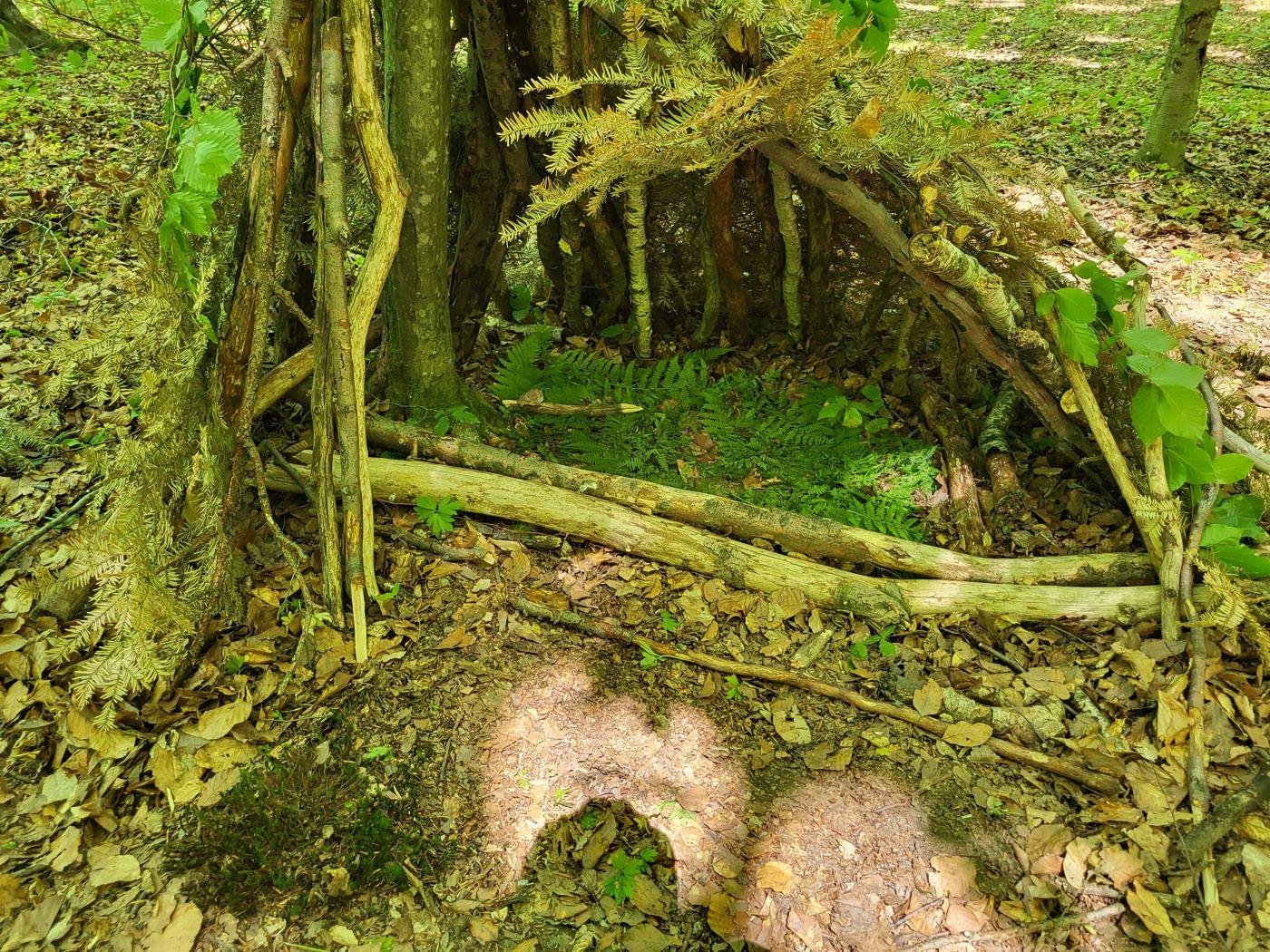 Schronienie zbudowane z gałęzi podczas szkolenia survivalowego